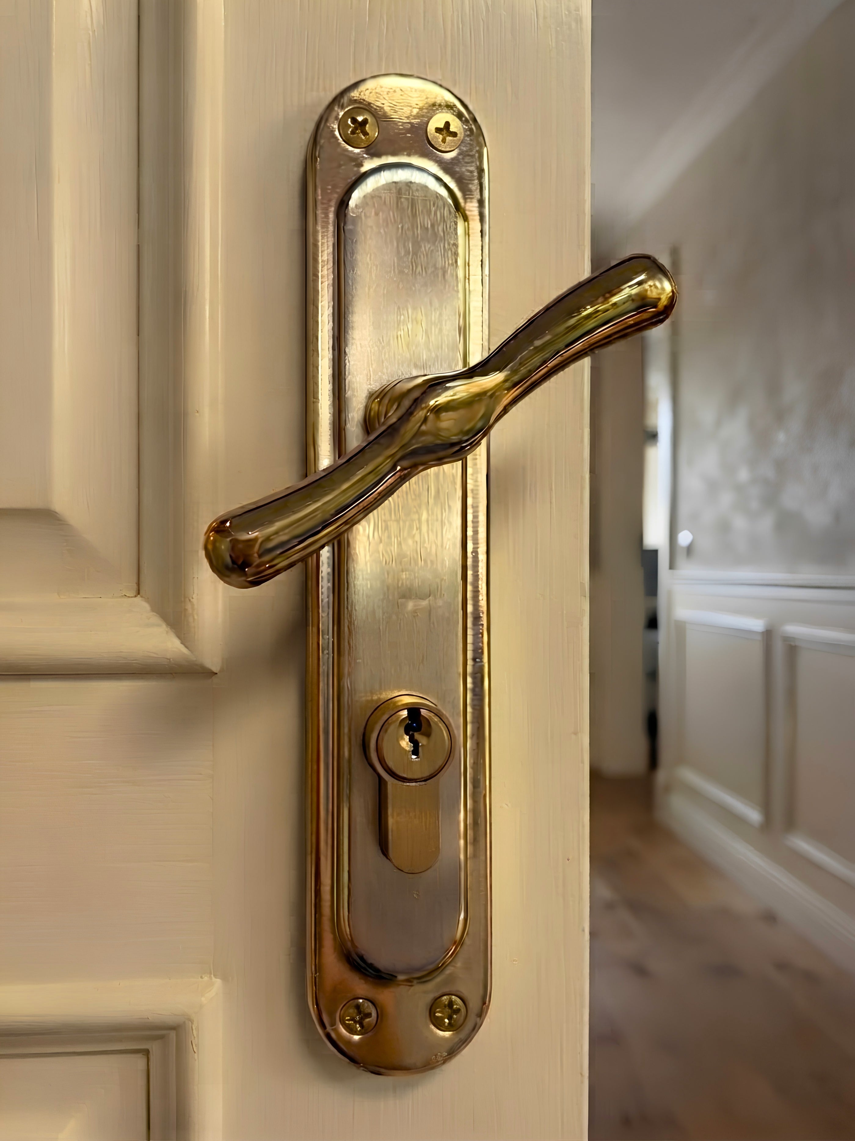 Turkish 1/2 Cylinder Door Handle