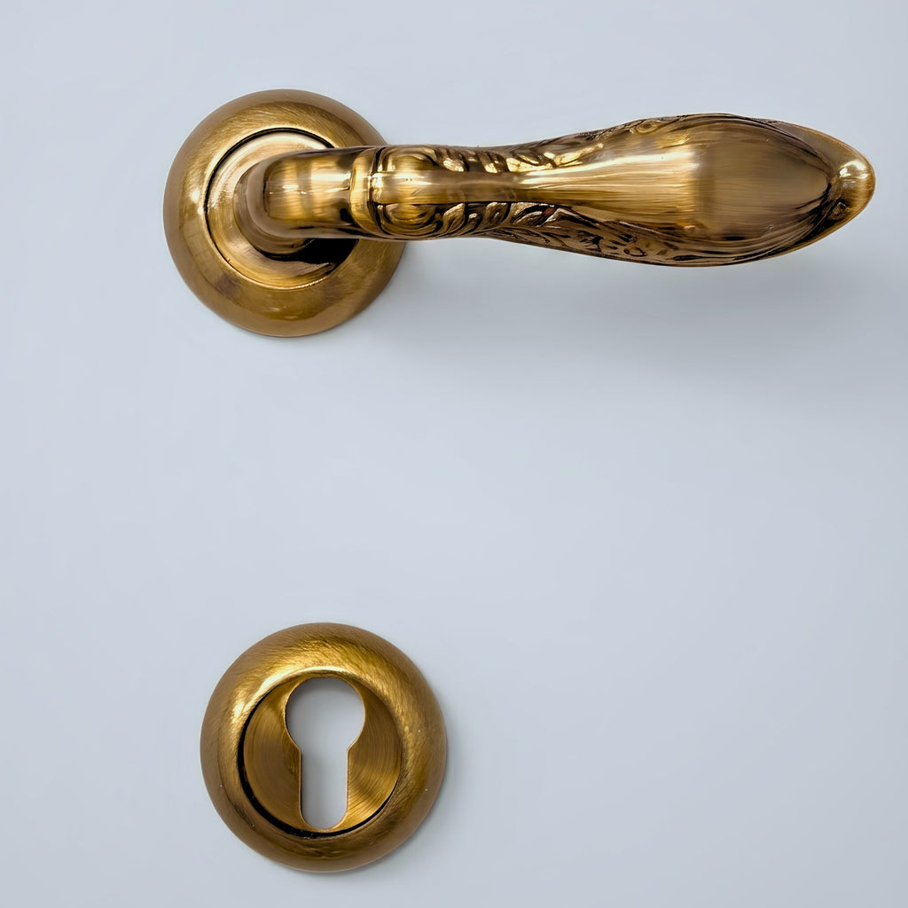 Rosetta Door Handle Q05-367