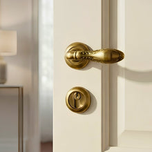 Load image into Gallery viewer, Rosetta Door Handle Q05-367
