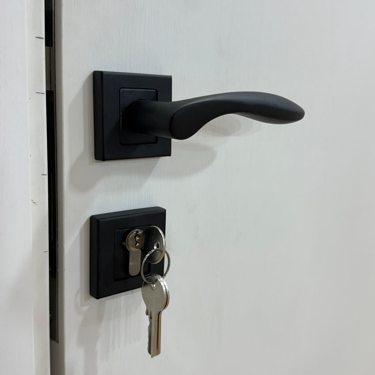 Balina Rosetta Cylinder Door Handle