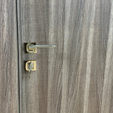 Load image into Gallery viewer, Aras Rosetta Cylinder Door Handle
