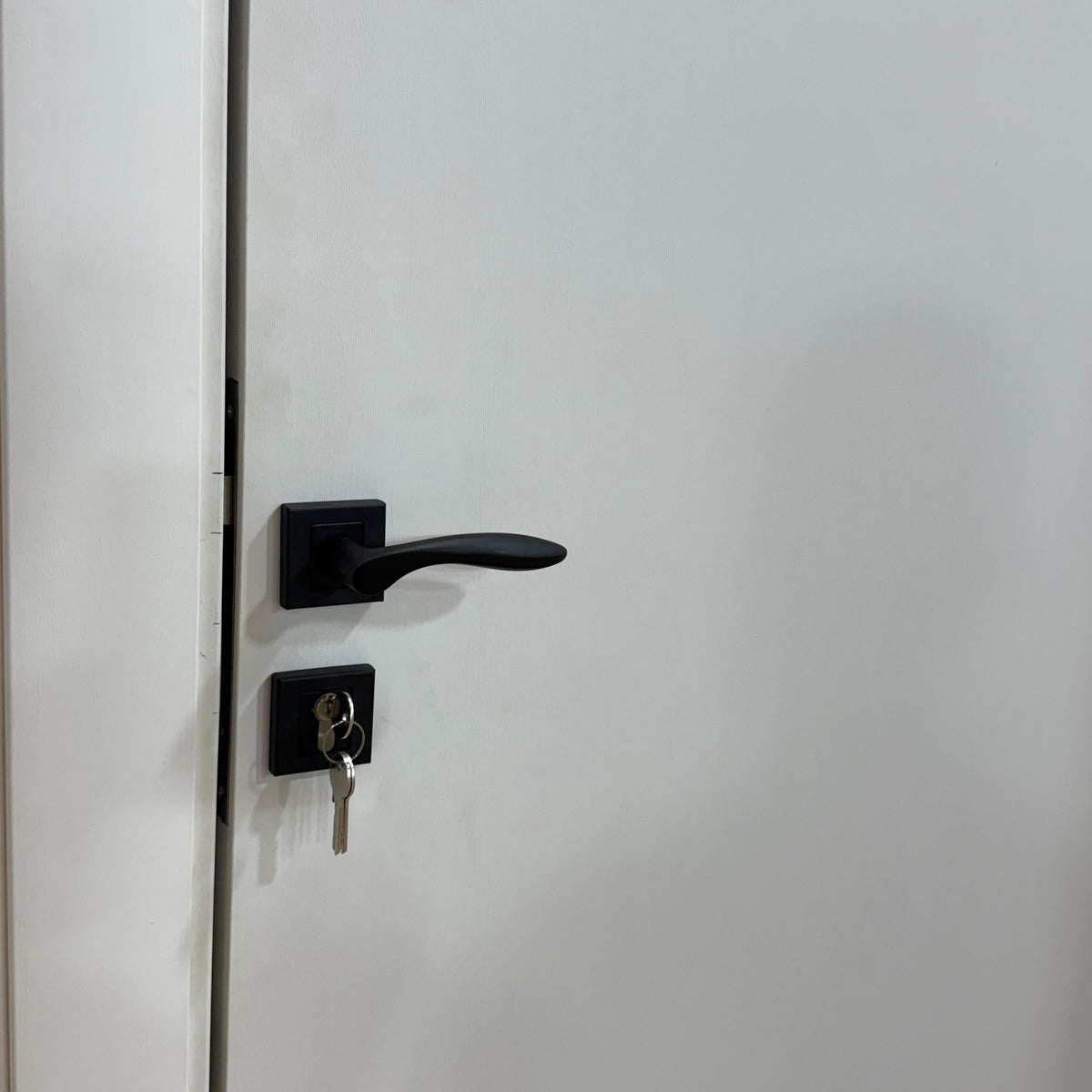 Balina Rosetta Cylinder Door Handle