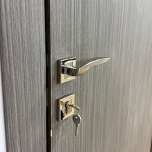 Load image into Gallery viewer, Aras Rosetta Cylinder Door Handle
