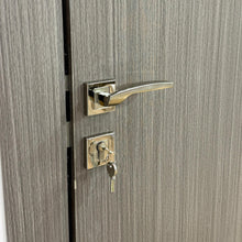 Load image into Gallery viewer, Aras Rosetta Cylinder Door Handle
