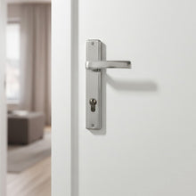 Load image into Gallery viewer, SS Door Handle
