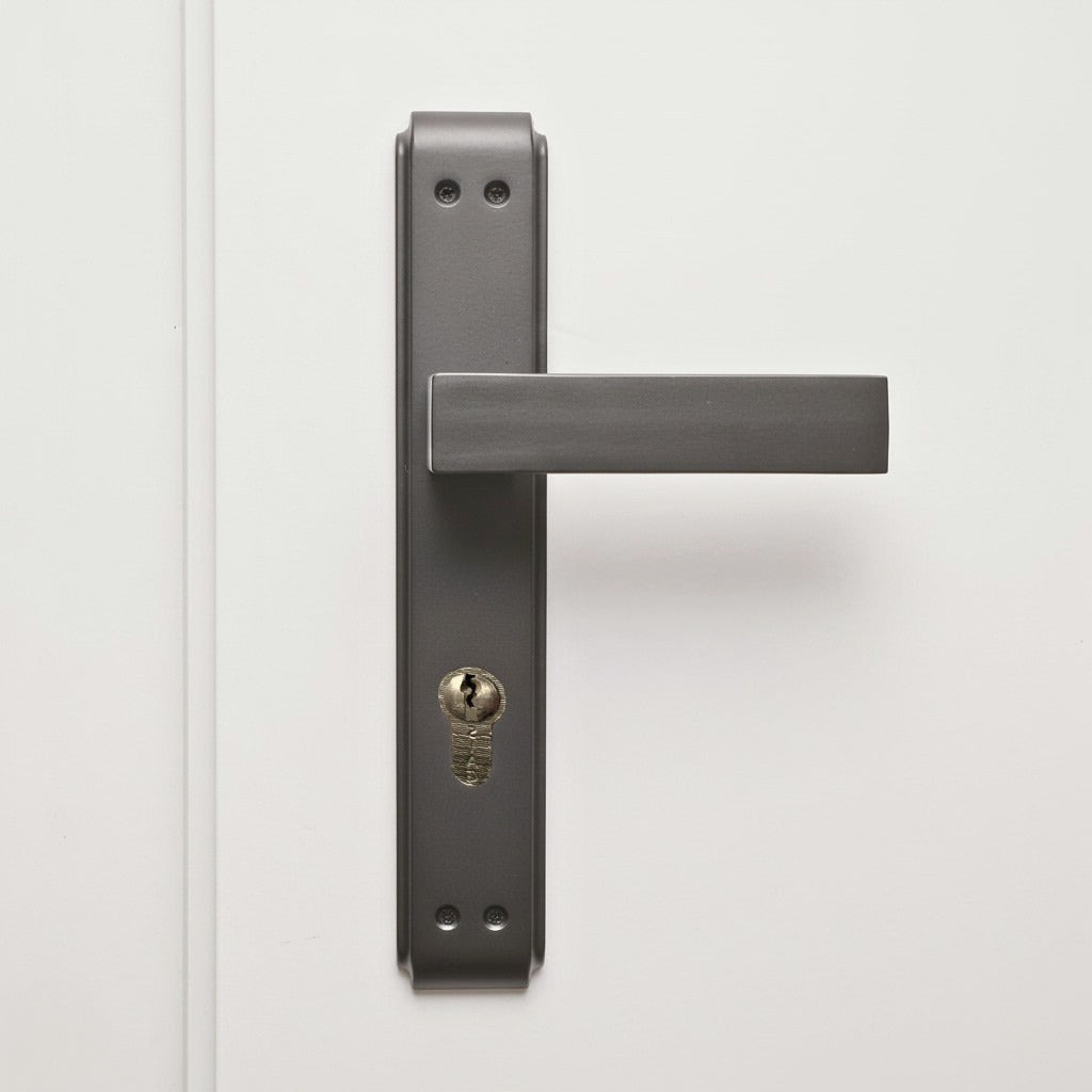 Orkid Door Handle