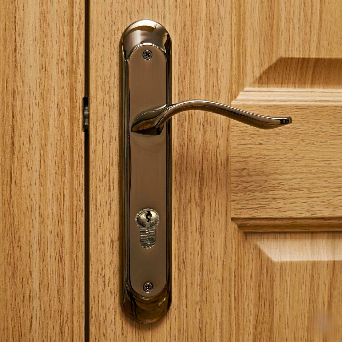 Pinar Door Handle