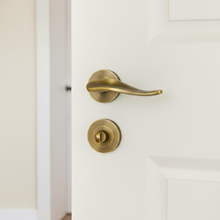 Load image into Gallery viewer, Rosetta Door Handle Q03-Z06
