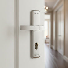 Load image into Gallery viewer, Plato Door Handle
