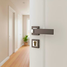Load image into Gallery viewer, Rosetta Door Handle Q12-308
