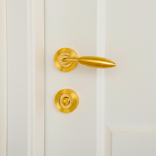 Load image into Gallery viewer, Rosetta Door Handle Q04-65
