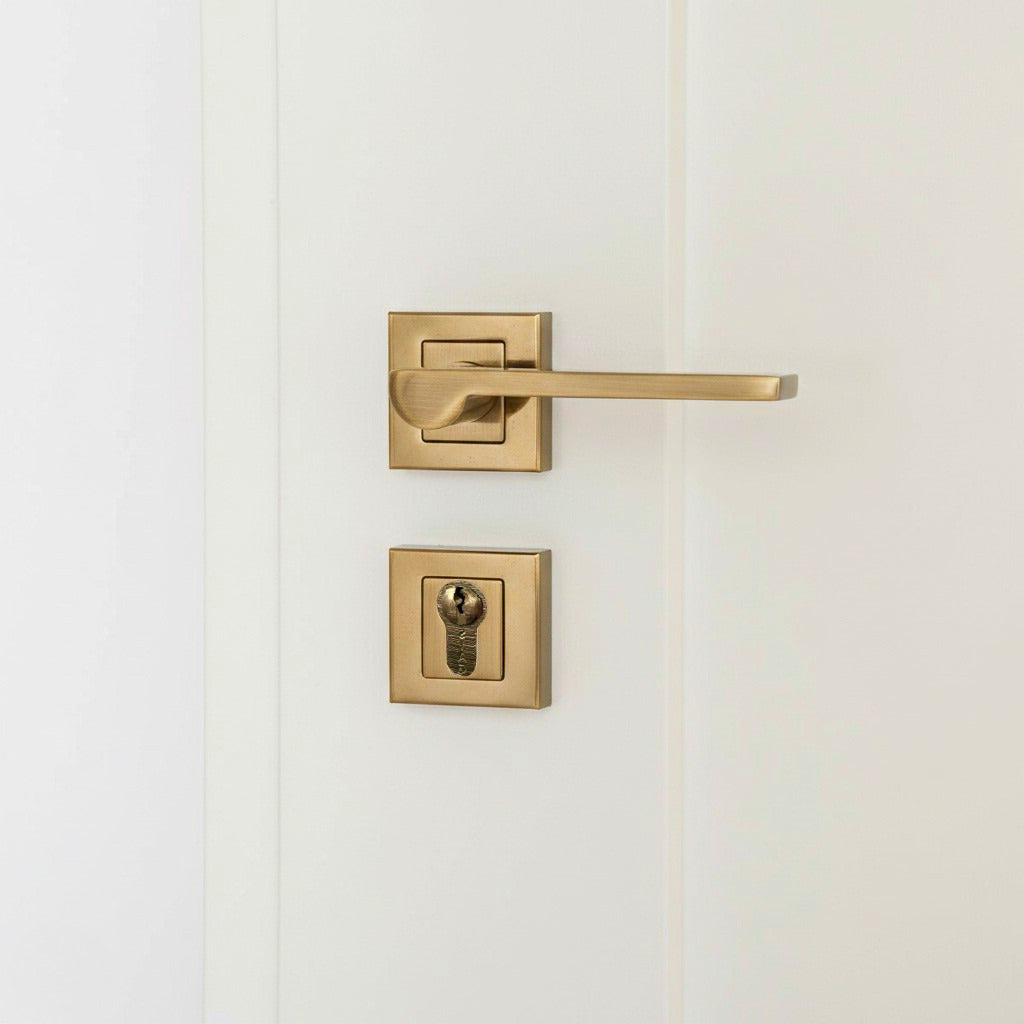Zara Rosetta Cylinder Door Handle
