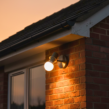 Load image into Gallery viewer, Small Spot
