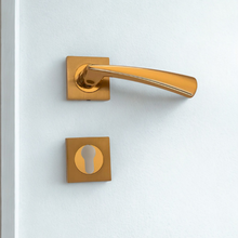 Load image into Gallery viewer, Hazal Rosetta Door Handle
