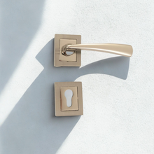 Load image into Gallery viewer, Hazal Rosetta Door Handle
