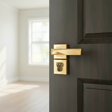 Load image into Gallery viewer, Noyan Rosetta Cylinder Door Handle

