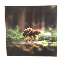 Load image into Gallery viewer, Frame
