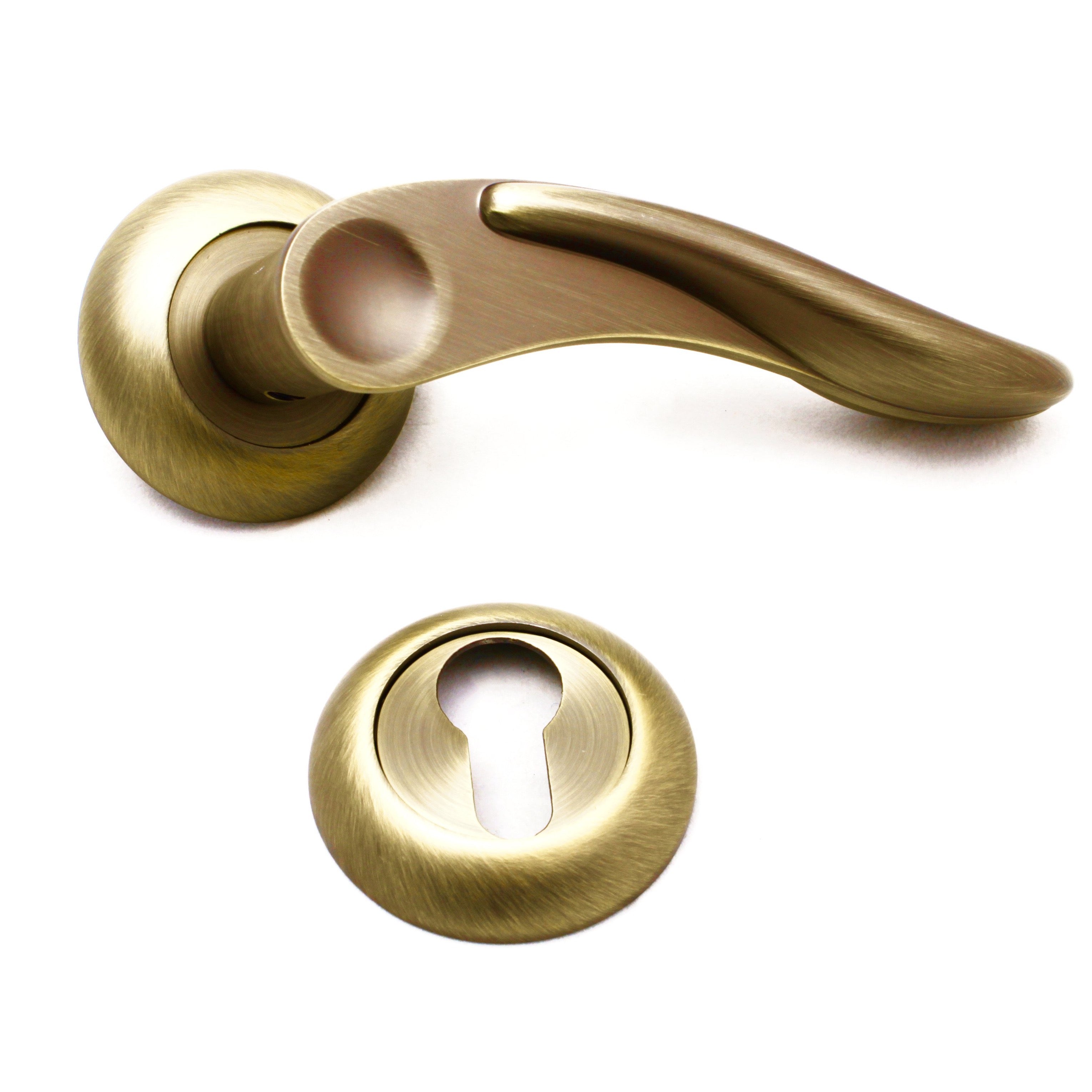 Rosetta Door Handle Q05-604