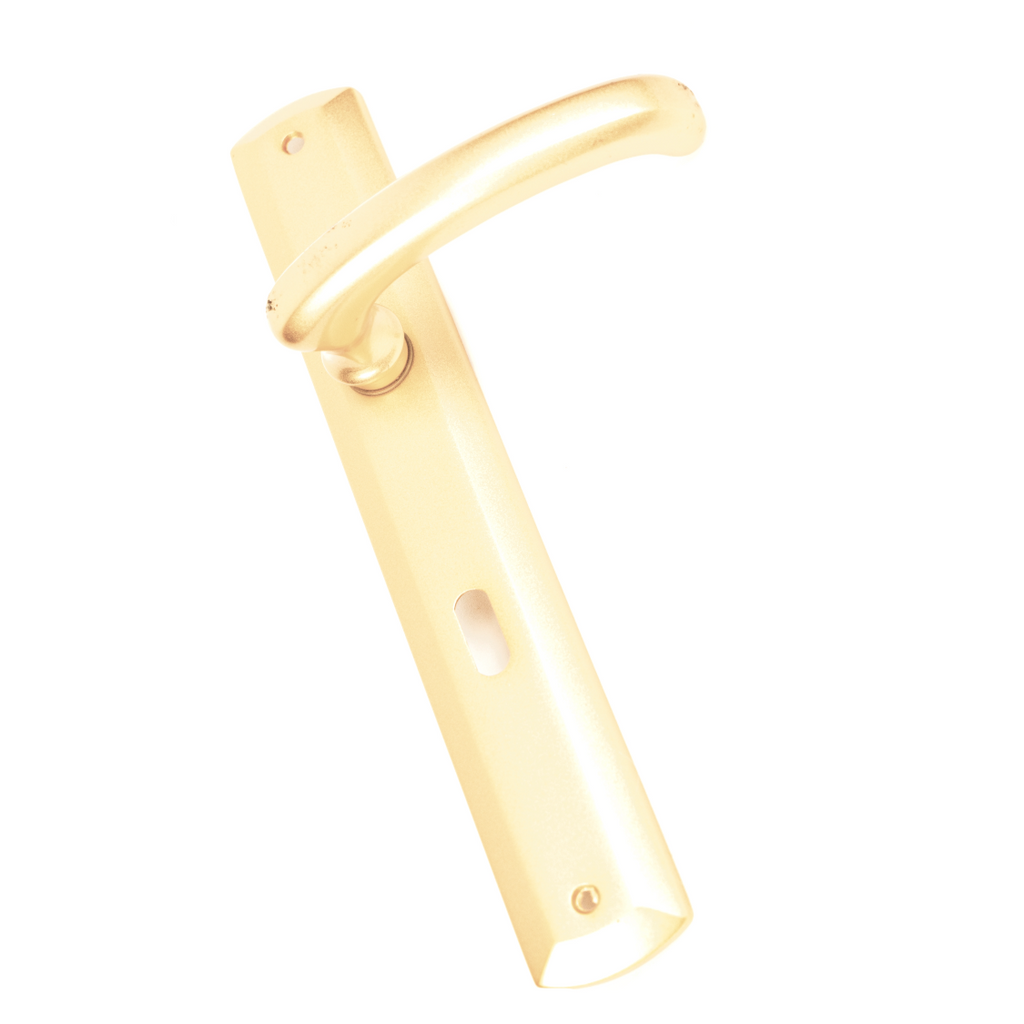 Remo Door Handle