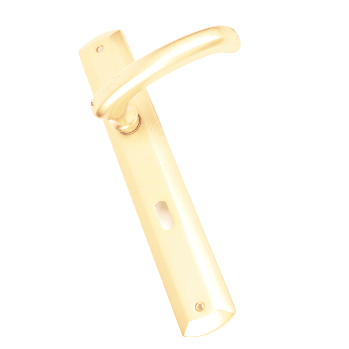 Remo Door Handle