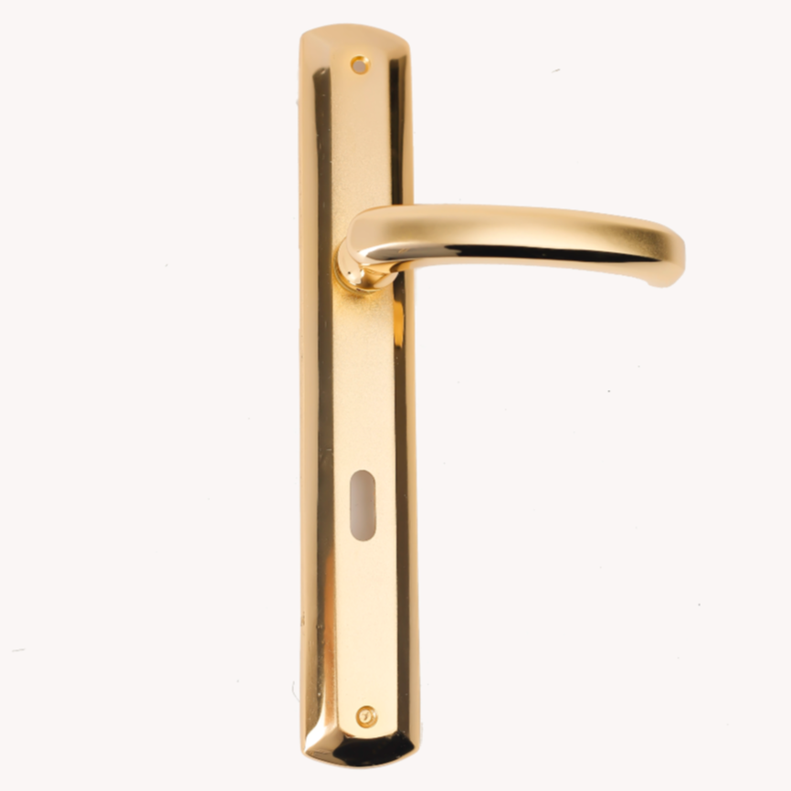 Remo Door Handle